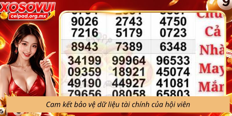 Cam kết bảo vệ dữ liệu tài chính của hội viên 