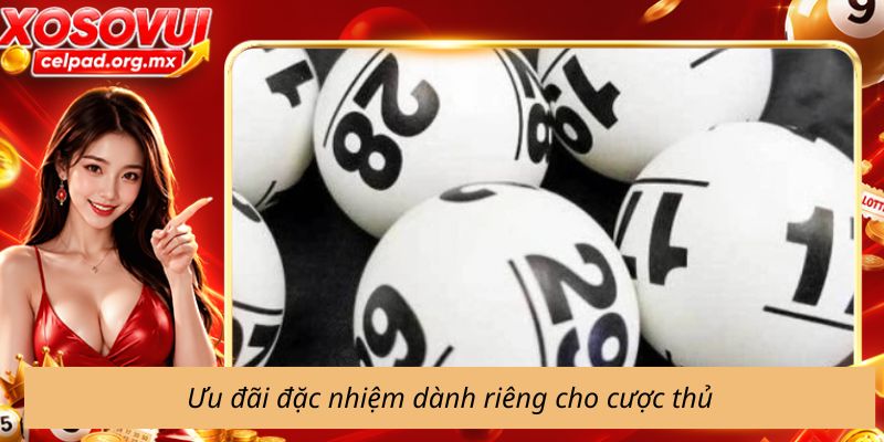 Ưu đãi đặc nhiệm dành riêng cho cược thủ